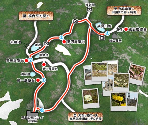 http://wakasaresort.com/asahidakeropeway/course/spring/map.jpg